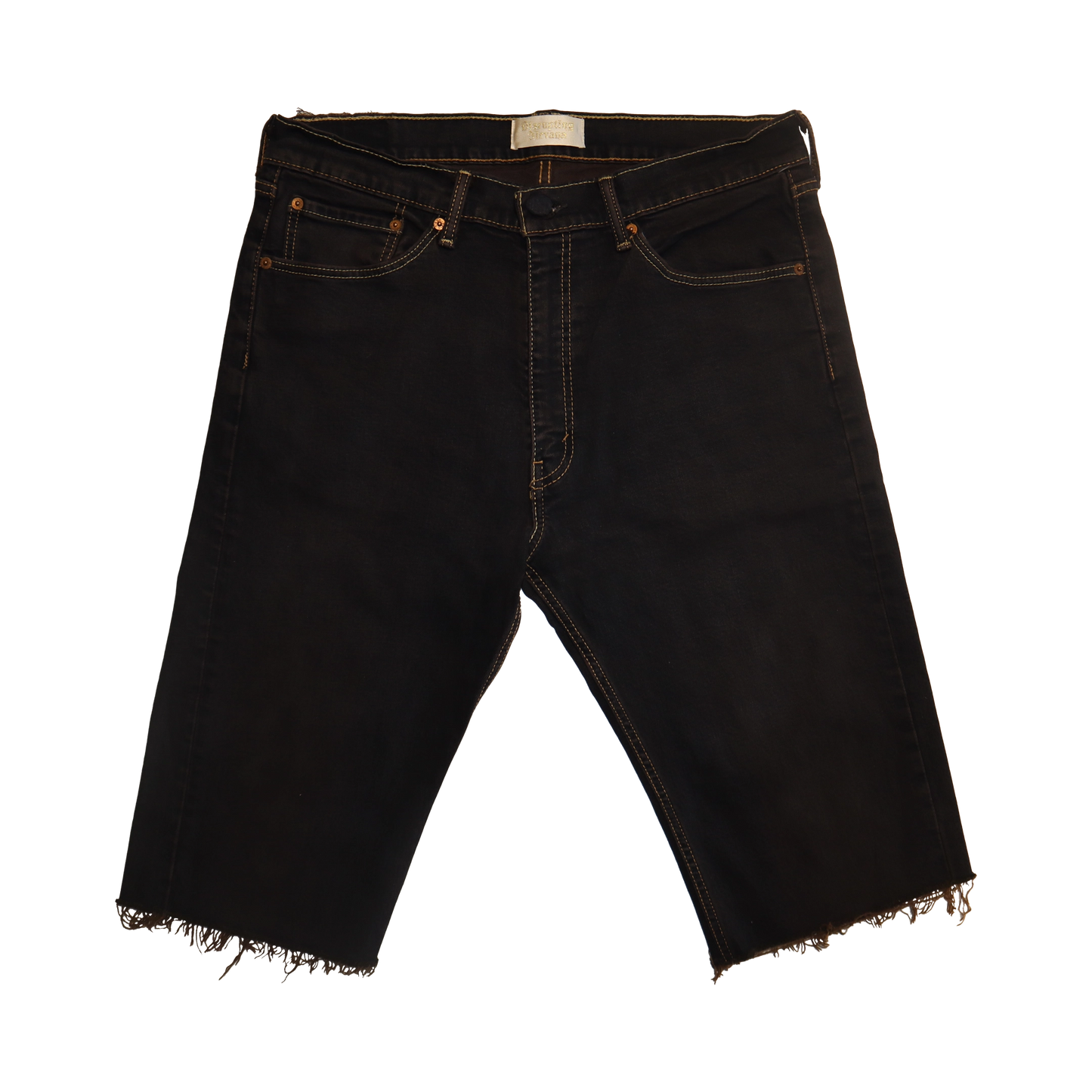 Philosopher Shorts
