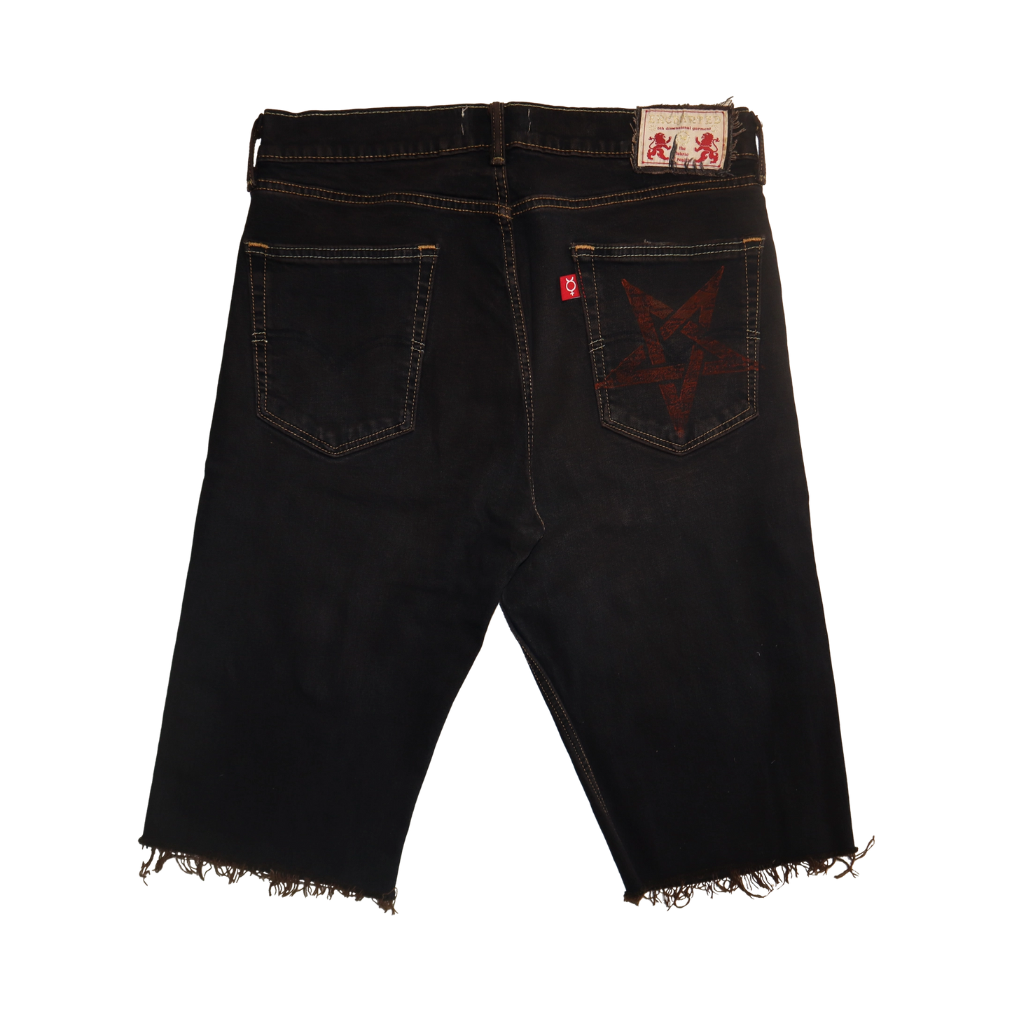 Philosopher Shorts