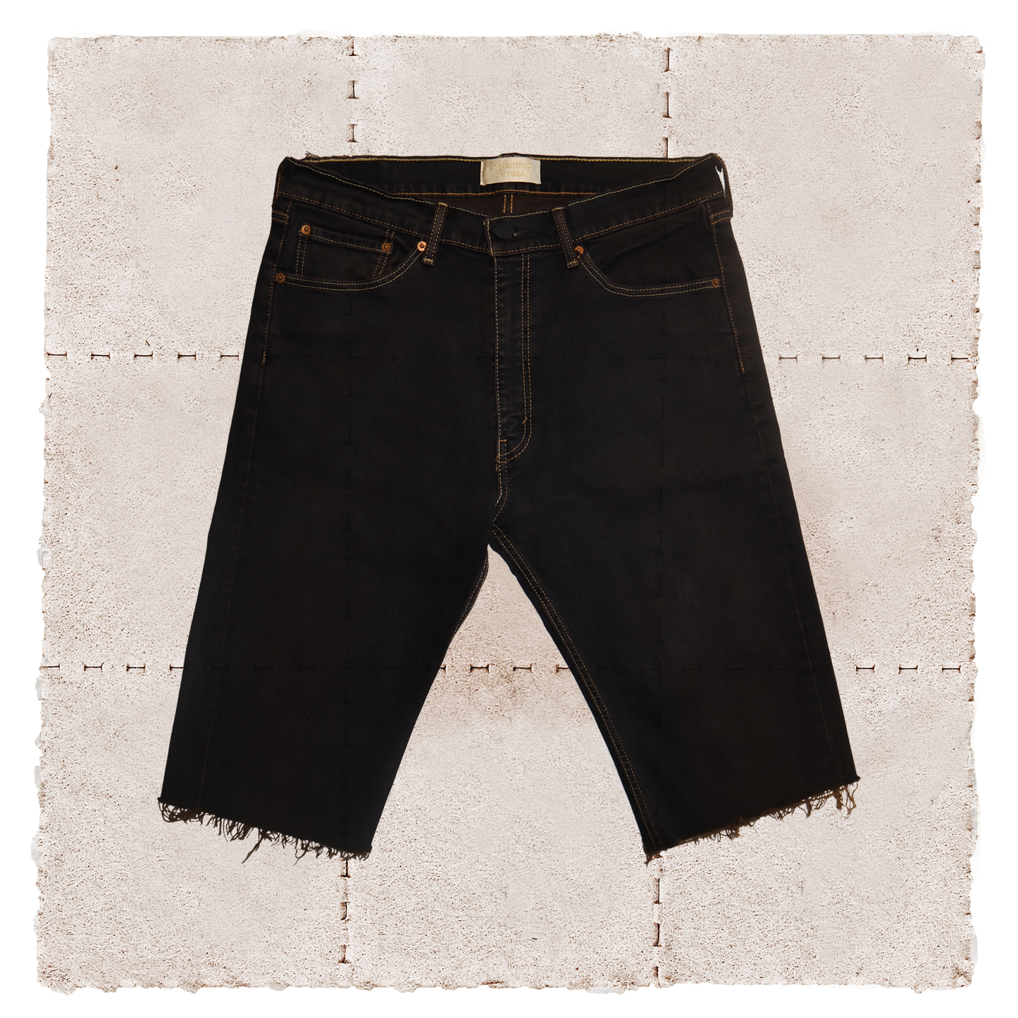 Philosopher Shorts