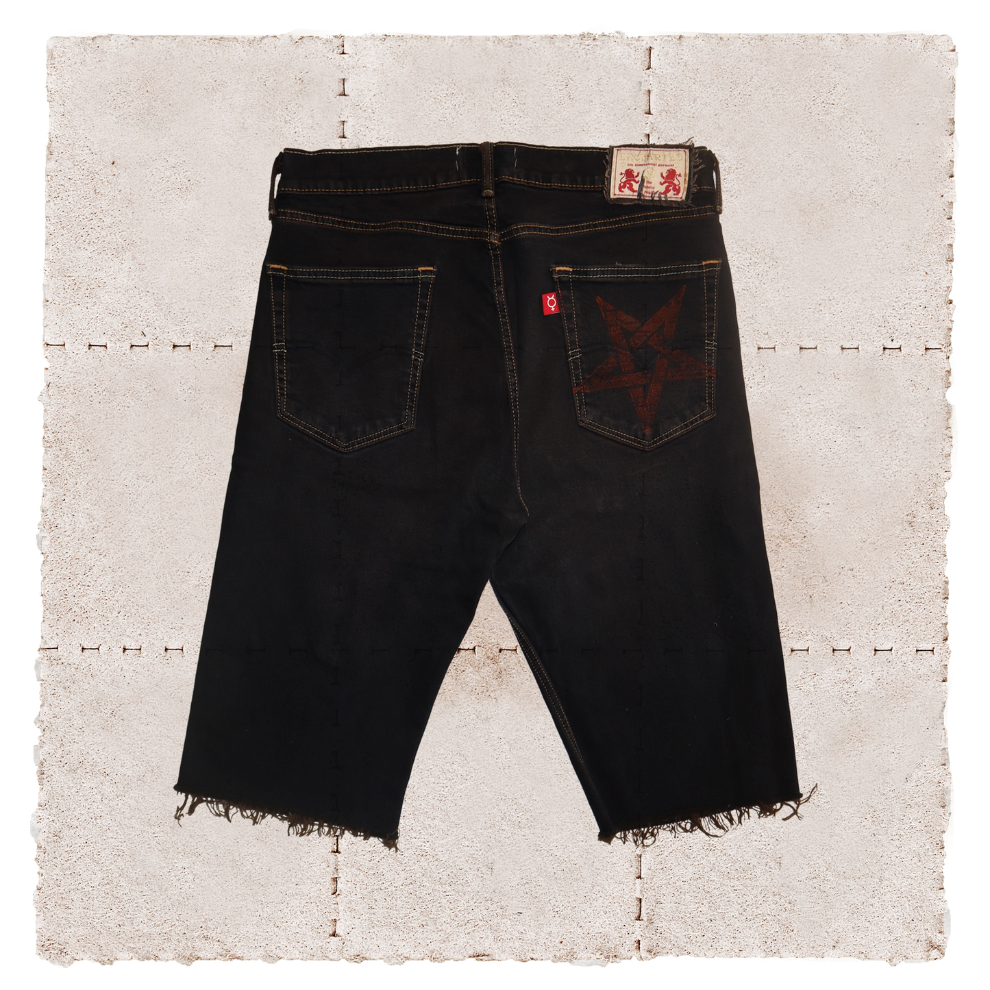 Philosopher Shorts