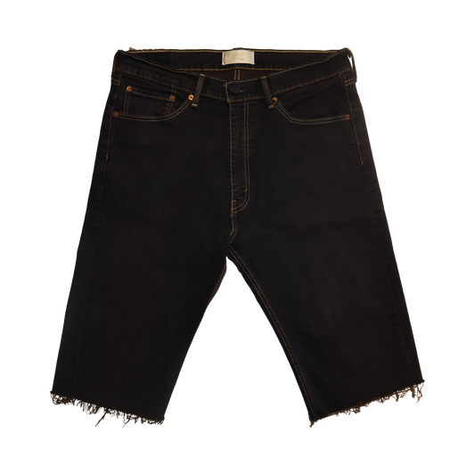 Philosopher Shorts